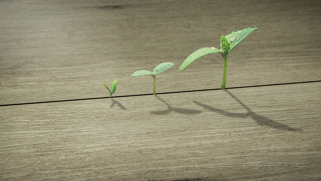 建材界「全能型選手」,紛特石晶墻板·地板,不允許你不知道! 建材界「全能型選手」,紛特石晶墻板·地板,不允許你不知道!